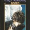 Angel Sanctuary gold 6
