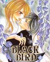 Black Bird 4