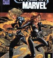 Cavalieri Marvel