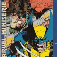 Wolverine E Nick Fury 2 Di 3