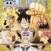one piece new edition 45