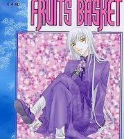 Fruits Basket 9