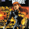 Cavalieri Marvel