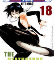 Bleach