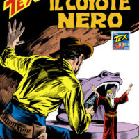 Il Coyote Nero