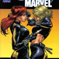 Cavalieri Marvel