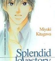 Splendid love story 4