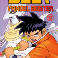 Beet Vandel Buster 12