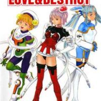 LOVE & DESTROY