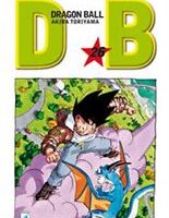 Dragon Ball Evergreen Edition