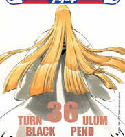 Bleach