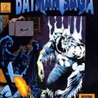 Batman Saga -knightquest La Ricerca