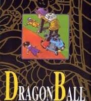 Dragonball Book