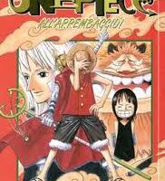 One Piece 41
