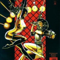 Catwoman August 1995