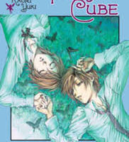 Fairy Cube