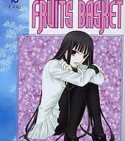 Fruits Basket 13