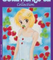 Solamente Tu Collection
