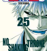 Bleach