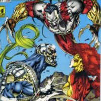 Wildc.a.t.s./cyberforce/brigade