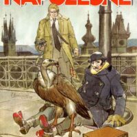 L'avvoltoio