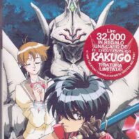 i cieli di escaflowne
