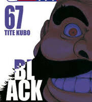 Bleach 67