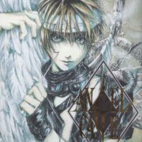 Angel Cage