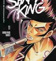 Shaman King 11