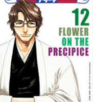 Bleach