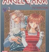 Angel Arm 2