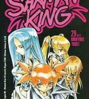 Shaman King 29