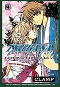 Tsubasa Reservoir Chronicle 23