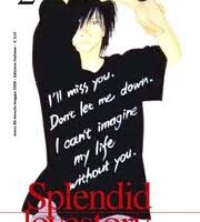 Splendid love story 2