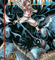 Fairy Tail 30