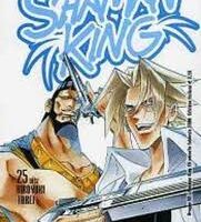 Shaman King 25