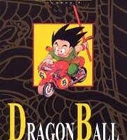 Dragonball Book