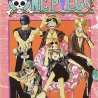 one piece new edition 11
