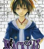 Black Cat 10