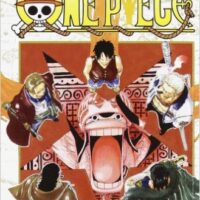 one piece new edition 20