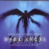 Dark Angel Illustration Book