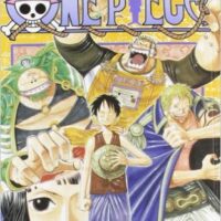 one piece new edition 24