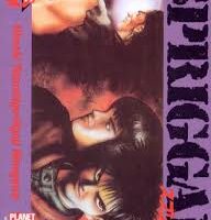 Spriggan 8