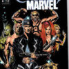 Cavalieri Marvel
