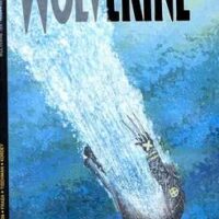 Wolverine Nuova Serie 29
