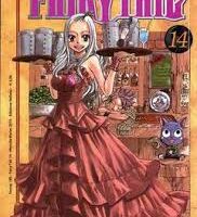 Fairy Tail 14