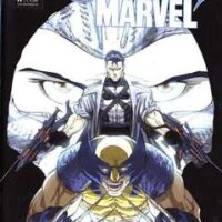 cavalieri marvel